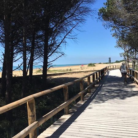Appartamenti Sirio Via Pesci 6,8,14 Bibione Exteriér fotografie